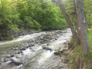 المياه المعدنية بورجومي - السياحة في جورجيا